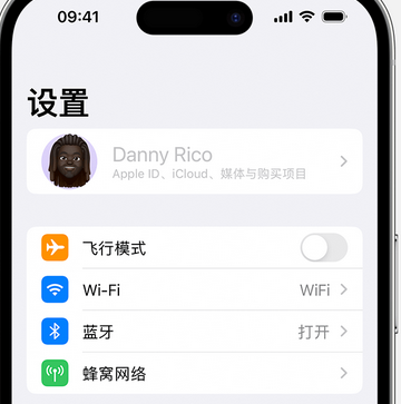 奎屯appleID维修服务iPhone设置中Apple ID显示为灰色无法使用