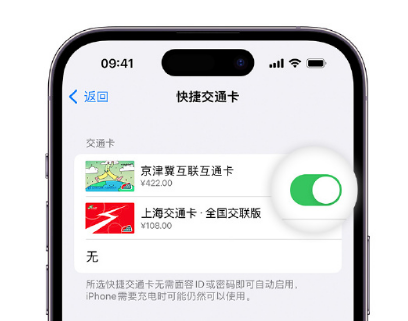 奎屯apple维修点分享iPhone上更换Apple Pay快捷交通卡手绘卡面 