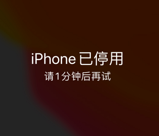 奎屯苹果手机维修分享:iPhone 显示“不可用”或“已停用”怎么办？还能保留数据吗？ 