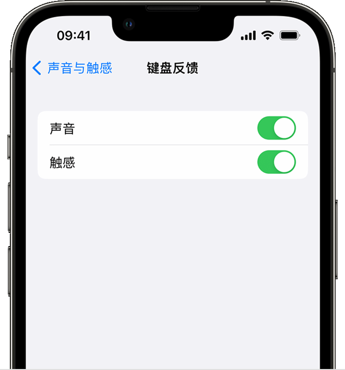 奎屯苹果14维修店分享如何在 iPhone 14 机型中使用触感键盘 