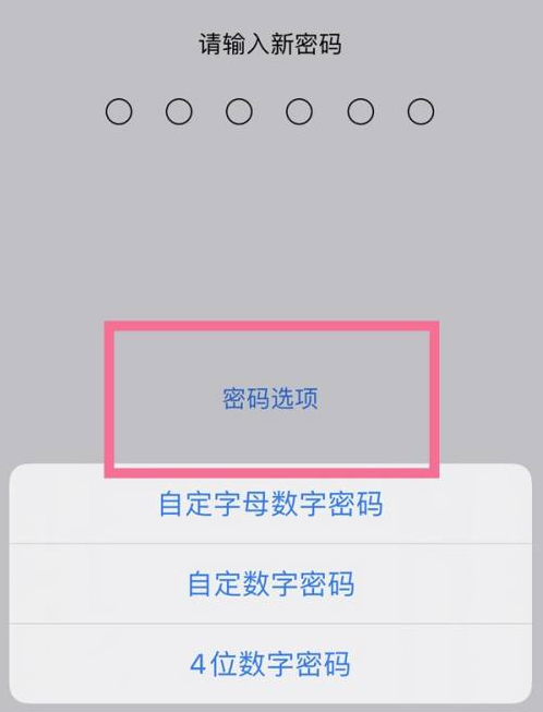 奎屯苹果14维修分享iPhone 14plus设置密码的方法 