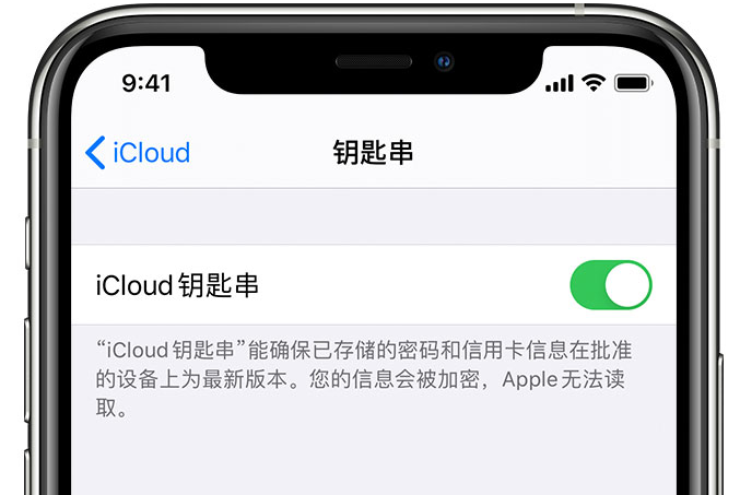 奎屯苹果手机维修分享在 iPhone 上开启 iCloud 钥匙串之后会储存哪些信息 