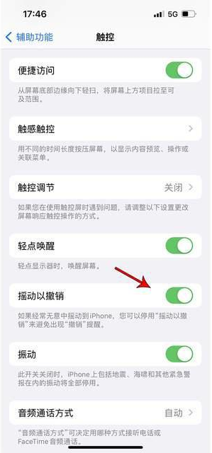 奎屯苹果手机维修分享iPhone手机如何设置摇一摇删除文字 